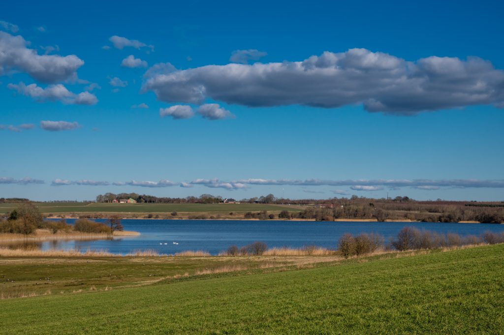 Borkovacko jezero u prolece